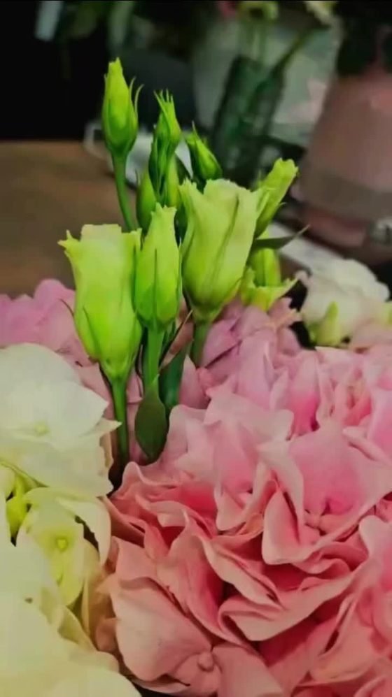 Post von Lotus Blumen: Hortensien-Strauß